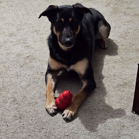 Come and chill with us!! - Picture 8 of 8